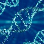 blue strands of DNA helix