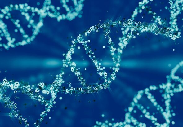 blue strands of DNA helix