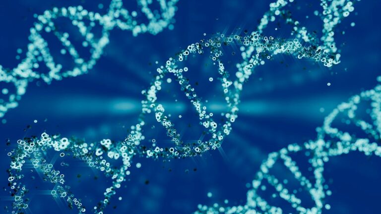 blue strands of DNA helix