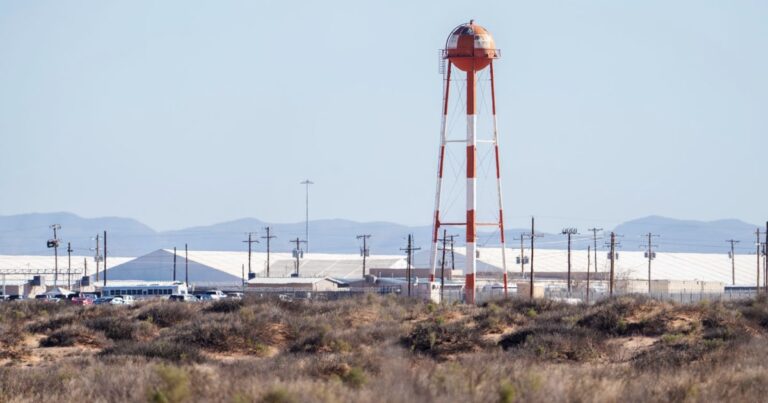 DHS watchdog announces new ICE reviews