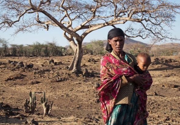 El Niño confirmed, set to fuel more extreme weather, says WMO