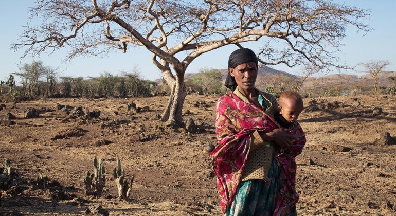 El Niño confirmed, set to fuel more extreme weather, says WMO