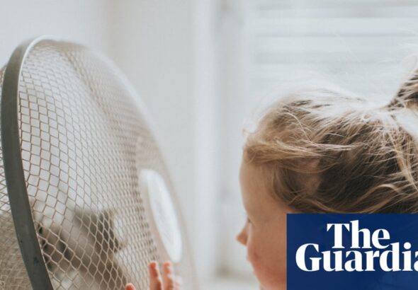 Great Britain’s grid operator pays £10m for extra power to avoid supply crunch tonight | Energy industry