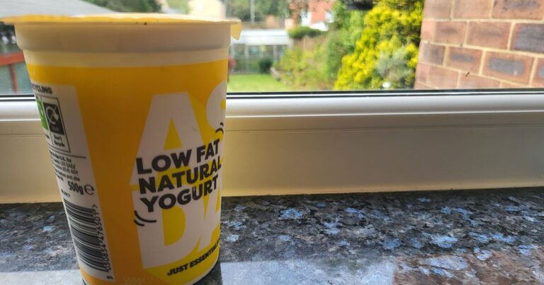 Households urged to paint yoghurt on windows | UK | News