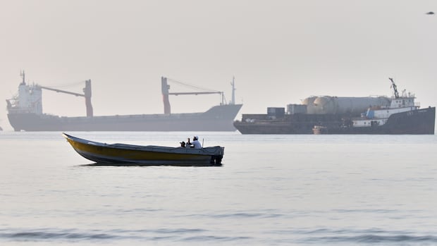 U.S. says its military shot down Iranian drones launched toward Strait of Hormuz