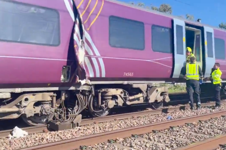 ‘People were screaming and crying’: Witness recalls being ‘flung’ into chair as trains collided near Bedford