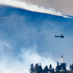 Wild fire
