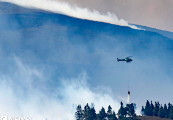 Wild fire