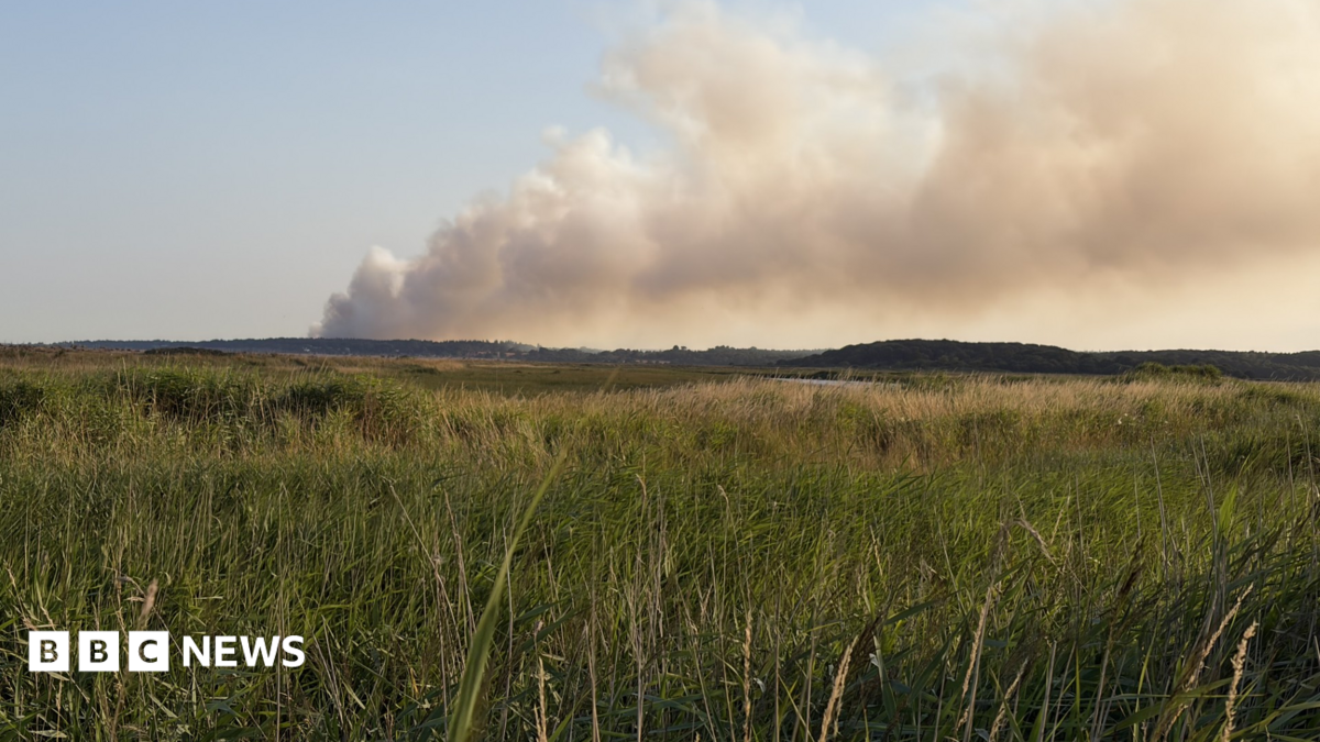 In a picture taken at ground level, grey smoke is drifting from the left to the right of the frame. There is grassland in the foreground.