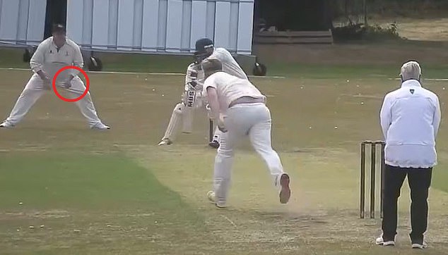 Amateur cricket player Brian Devine has been caught appearing to click his fingers to make it seem as though a batter had been caught behind when they hadn't hit the ball