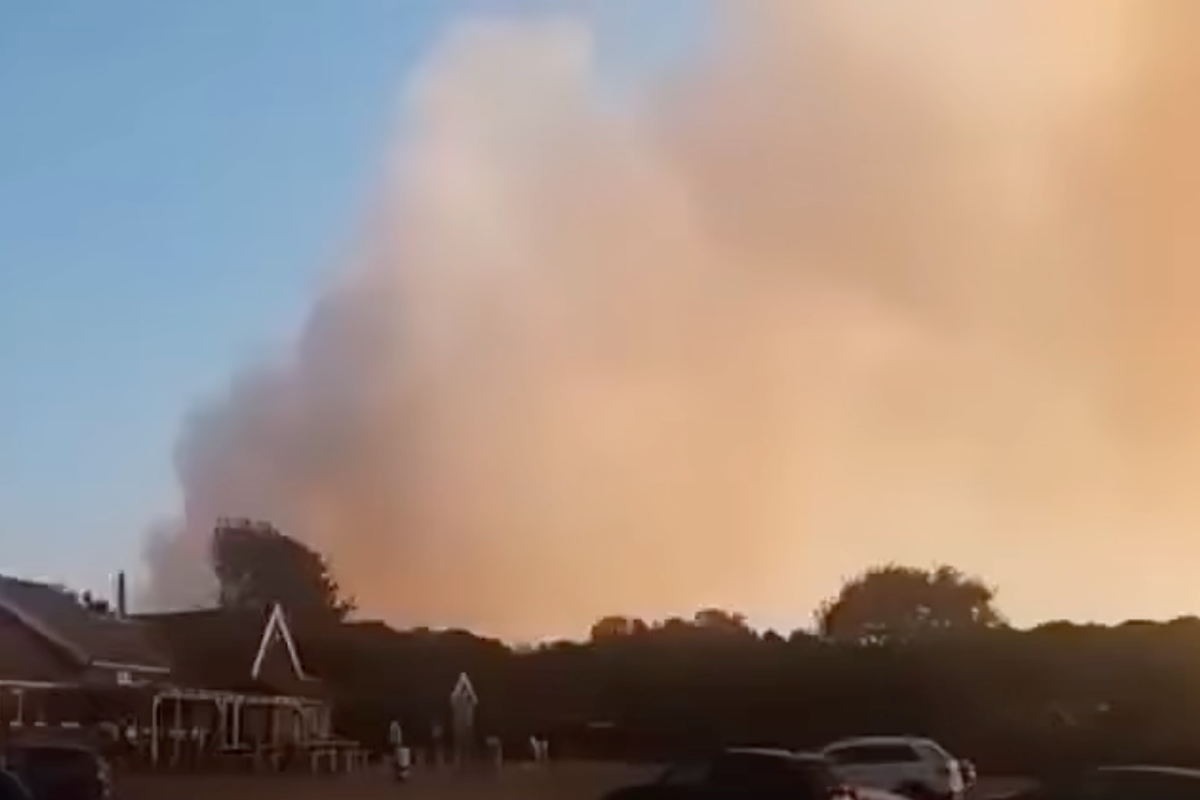 Dunwich Heath fire: Major incident declared as firefighters battle large blaze