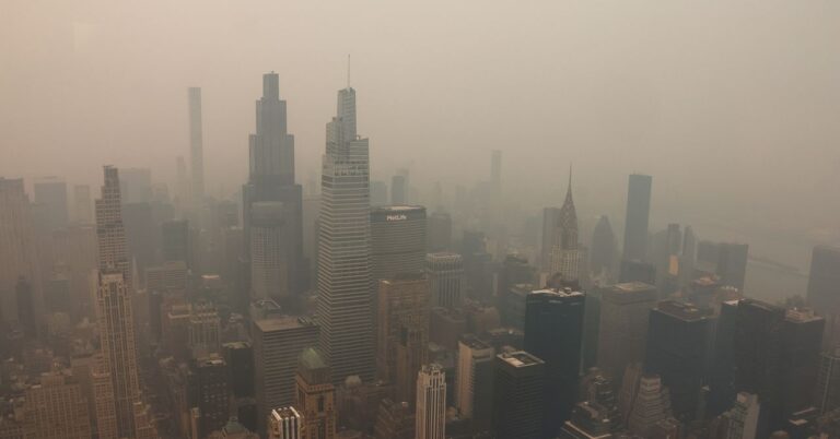 FIFA Doesn’t Have a Plan to Deal With Climate Change