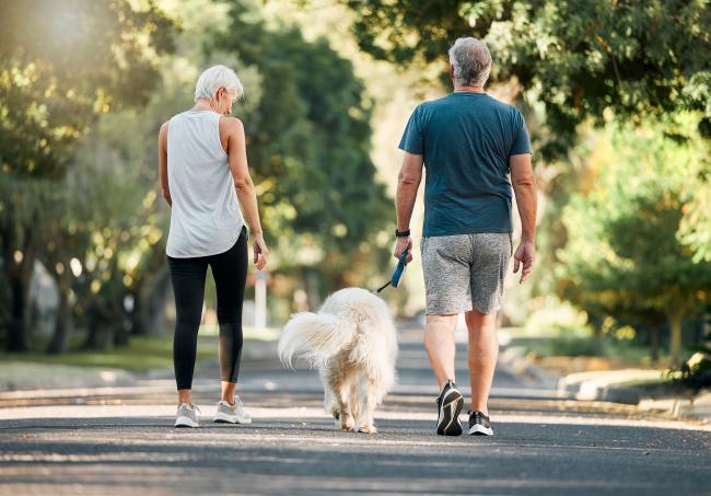 For adults with prediabetes, lifestyle intervention lowered risk of developing multiple chronic conditions