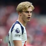 Lucas Bergvall playing for Tottenham