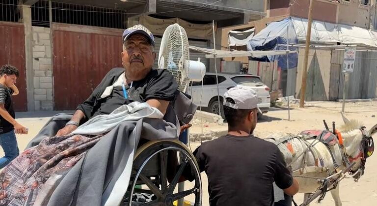 Gaza: Dialysis patients face grueling hospital journey by donkey cart