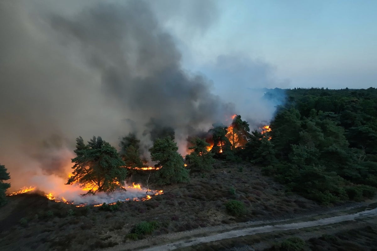 Suffolk wildfire latest: Nuclear power plant on alert as firefighters to battle blaze for days amid drought