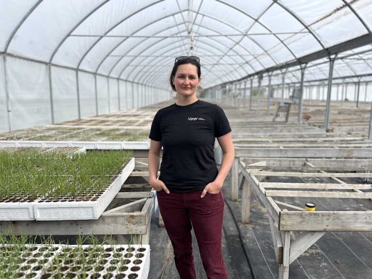 A woman in red pants and a black shirt stands in the middle of a greenhouse. There are rows of wooden tables and a box of grass sprouting.
