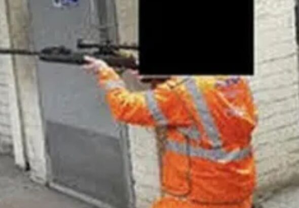 More than 650 pigeons are said to have been gunned down and killed by workers contracted by Transport for London in a mass cull