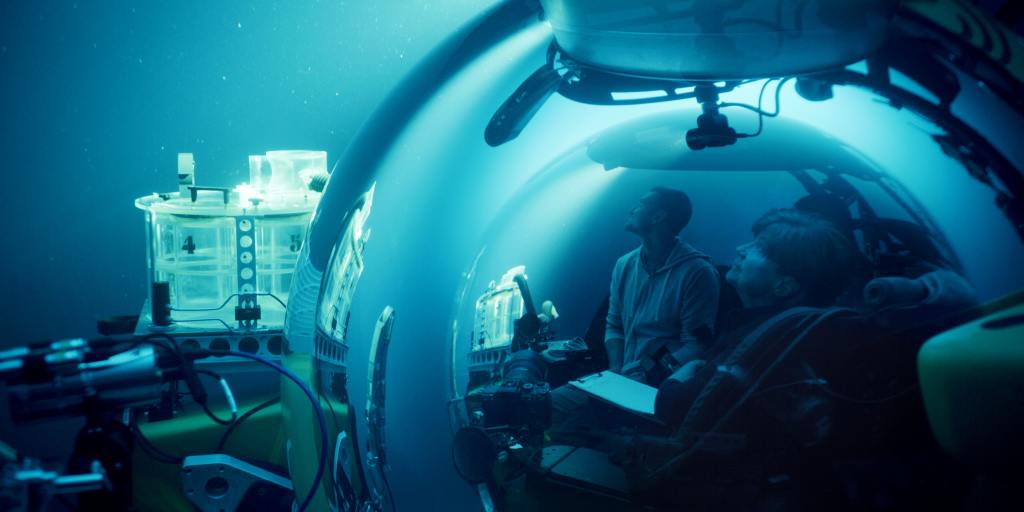 Bioluminescence Captured In Edie Widder Doc 'A Life Illuminated'