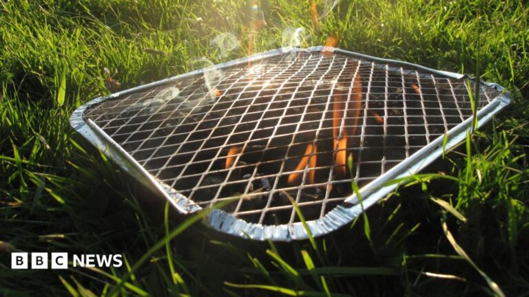 A disposable barbecue pictured in a park