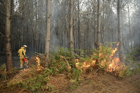 Germany fires LIVE: Monschau evacuated after huge Belgium wildfire crosses High Fens