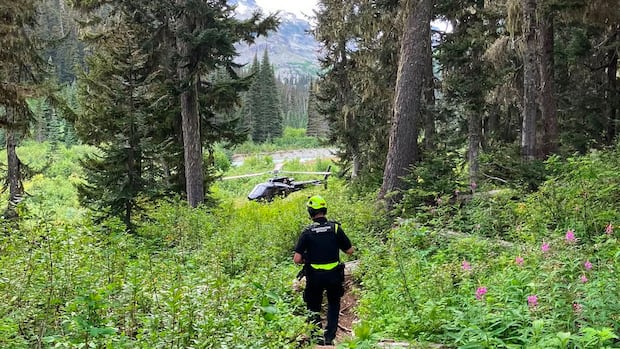 Hiker escapes after being attacked by grizzly bear in backcountry near Pemberton, B.C.