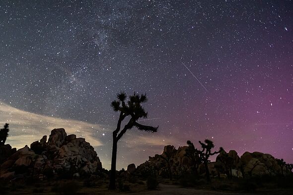 Meteor shower LIVE: When Perseid meteor shower is tonight and how to watch after eclipse