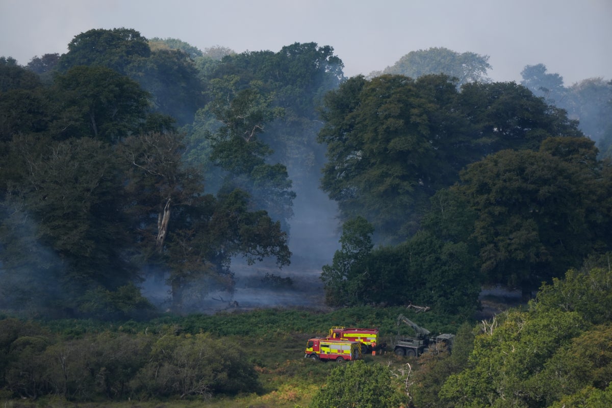 New Forest fire: Healthland blaze ‘contained’ as firefighters begin third day of tackling ‘devastating’ blaze near A31