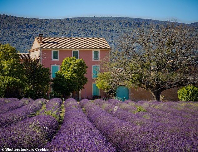 Buying into the dream: More than 20,000 Britons make the move to France every year... but while houses are often cheaper, renovations can be both expensive and gruelling to carry out