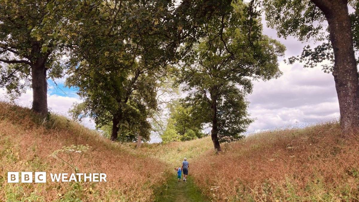 An adult and a child walk along a path under trees which rise up on either side and cloudy skies above