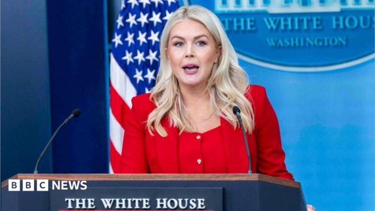 White House Press Secretary Karoline Leavitt speaks during a press briefing in the James S. Brady Press Briefing Room at the White House in Washington, D.C., United States, on 23 July 2026