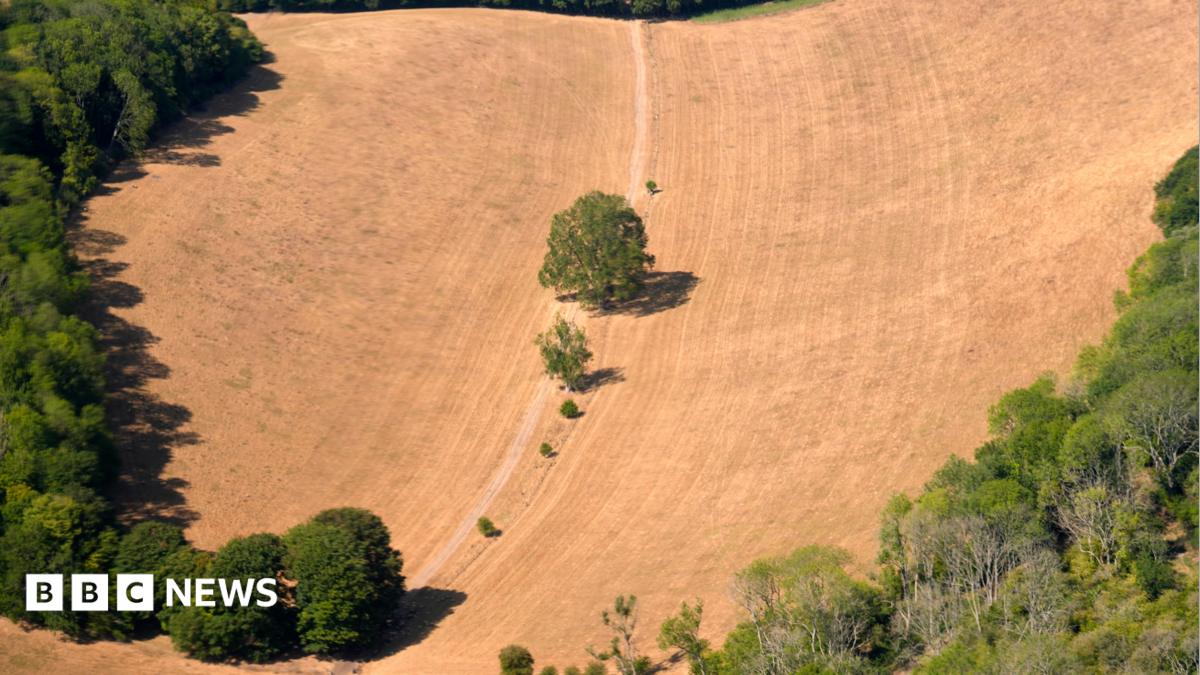 An aerial view of dried fields in Kent.