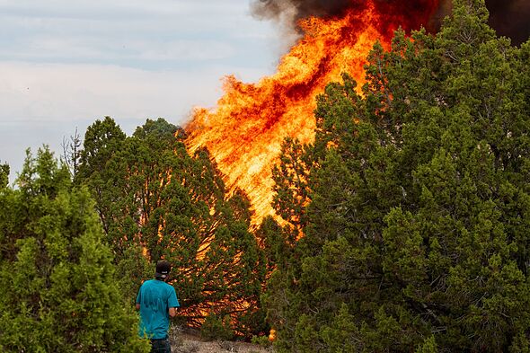 Utah helicopter crash: Chopper battling raging fire caused by lightning plunges
