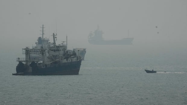 1 dead after Iranian commercial ship struck near Strait of Hormuz, Iranian media say