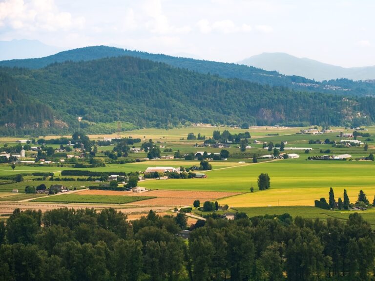 Farmland in the Fraser Valley, with mountains in the background.