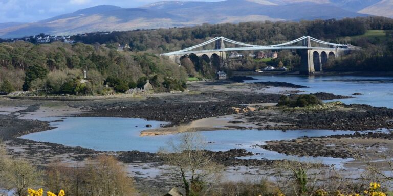 Body of newborn baby found on Welsh shoreline as police launch search for mother
