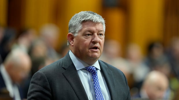 Conservative MP Scott Aitchison officially signals his intent to resign later this fall