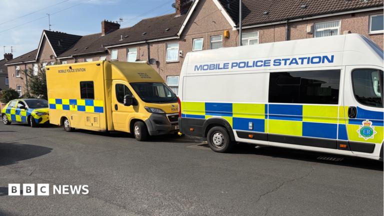 Two police vans and a police car are parked up outside a row of houses.