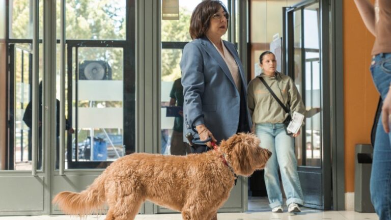 'Killing a Bear,' 'Celeste' S2, Make Serielizados 2026 Competition Cut