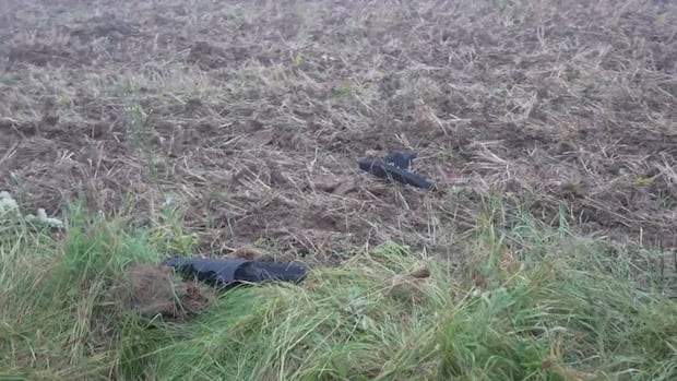NATO fighter jet shoots down drone over Lithuania