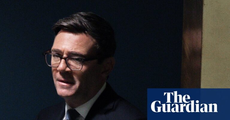 No general election before 2029, Andy Burnham says