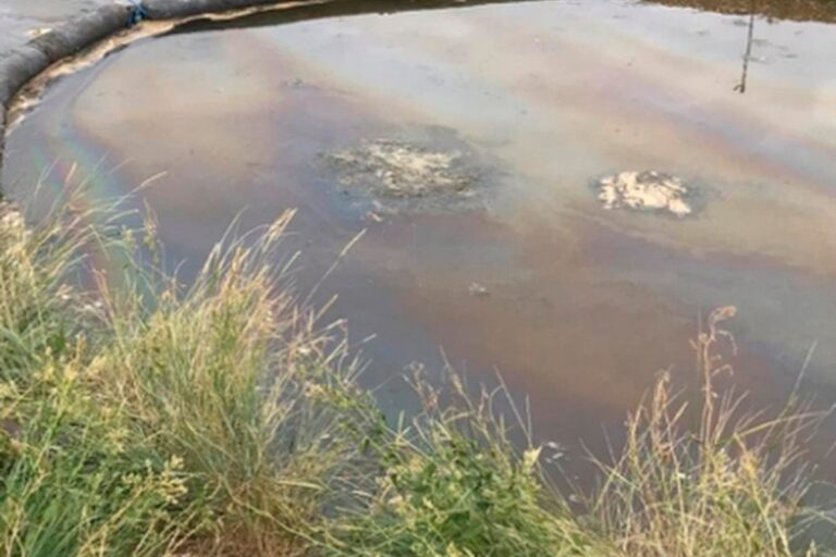 Southern Water fined millions over sewage pollution that killed dozens of fish and eels at Kent beauty spot