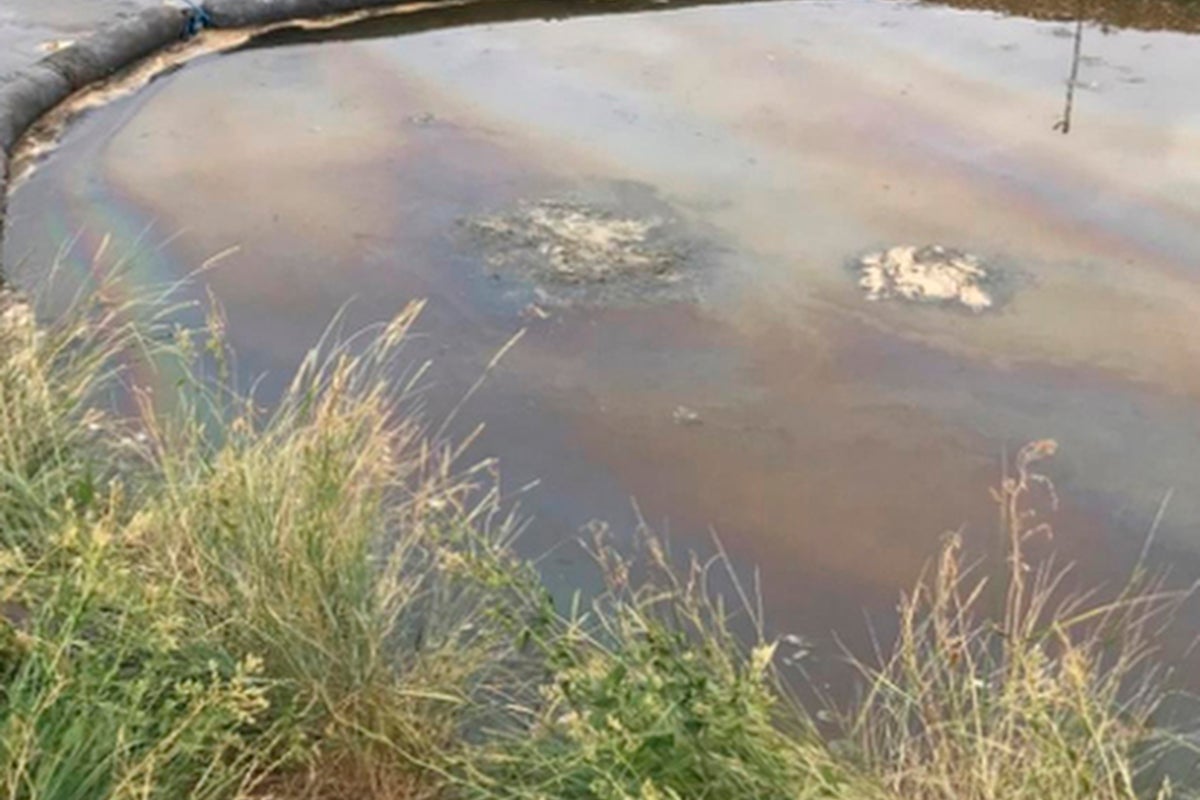 Southern Water fined millions over sewage pollution that killed dozens of fish and eels at Kent beauty spot