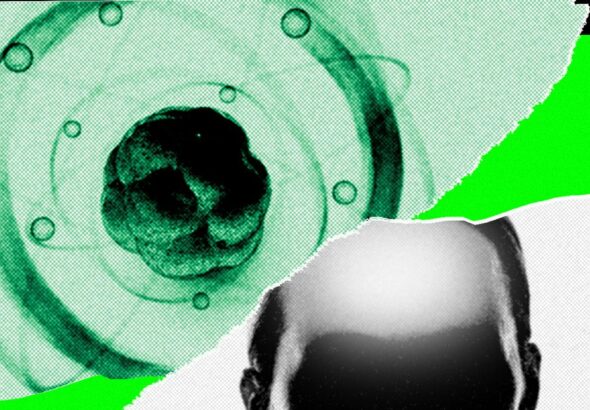 AI Came for Math. Now It’s Chasing the Rest of Science