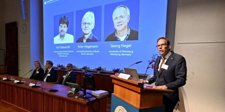 Nobel Prize awarded for groundbreaking research on brain cells study