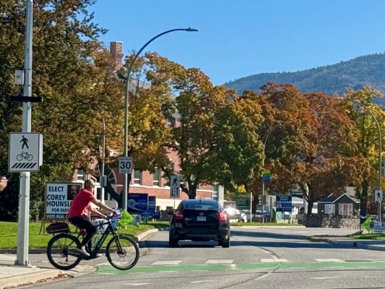 A man on a bicycle prepares to cross a tree-lined suburban-style street on a sunny day.