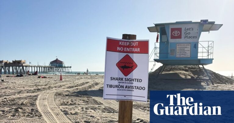 Southern California beach closes after sighting of great white shark ‘exhibiting aggressive behavior’