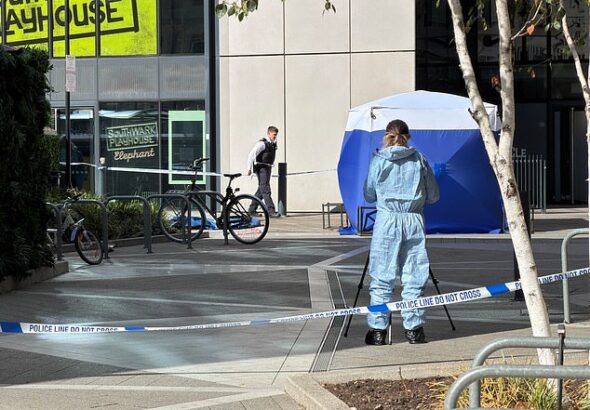 Police are investigating after a woman in her 20s was found unconscious on the ground and pronounced dead in Churchyard Row, south London