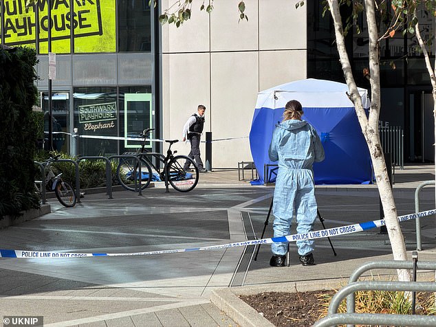 Police are investigating after a woman in her 20s was found unconscious on the ground and pronounced dead in Churchyard Row, south London